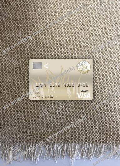 Central African republic bank of central african states (beac) bank visa debit card photolook front